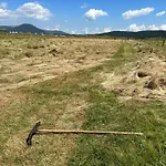 Apartman Djina Zabljak