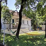 Forest House