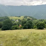 Vignjista