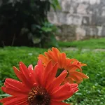Apartman Stijepcic