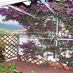 Apartment Sandra