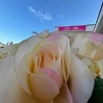 Apartmani Mia