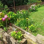 Apartman Vucevic