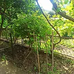 Apartman Vucevic
