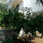 Apartments Maslina