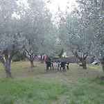 Apartments Green Olives