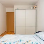 Azi Penthouse