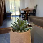 Apartmani Mia