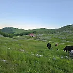 Katun Potrk Sinjajevina