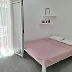 Маслины