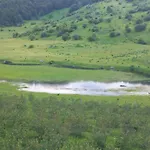 Jezerca Wild Beauty