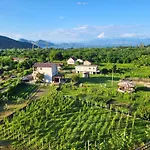 Rustic House Lekovic