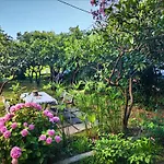 Guest House Buljarica