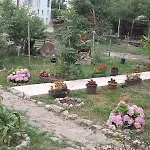 Perper