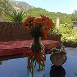 Apartmani Petkovic