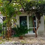 Diego