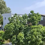 Vila Goga