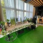Cozy Lux Mountain Apartment