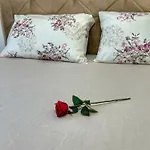 Comfortable And Spacious In A Central Location