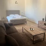 Studio Apartment Vukcevic