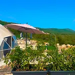Glamping Rose