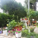 Brankas Apartments
