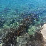 Apartmani Lux Sea