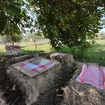 Bukuria E Fjerines