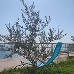 Apartment Oliva