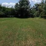 Willow Place Mne