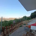 Skadar Lake Sara 3 Dm