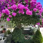 Apartmani Andrijana