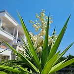 Apartments Oxa