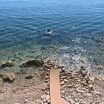 Aloha Beach Front Vacation Rental