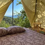 Pestorici - Camp
