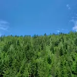 Stara Cakmara