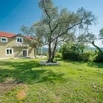 New!! Olive Hills