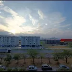 Obilex