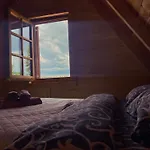 Wolf Apex