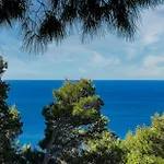 House In The Pines