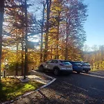 Green Forest