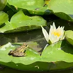 Skadar Lake Family Resort