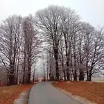 Miracle Garden