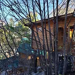 Still Cabin