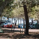 Mcm Camping