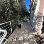 Apartman Stari Grad