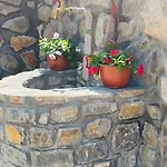 Holiday House Flores