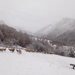 Family Owned Self Sufficient Eco Farm Tara