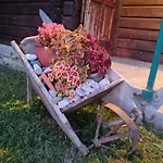 Bungalovi Vukovic
