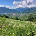 Viewpoint Kofiljaca